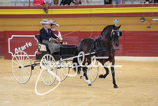 III Concourso Exhibicion de Enganches de Tradicion 2024a