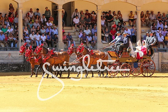 XLIV Concourso Exhibicion de Enganches de Ronda 2022