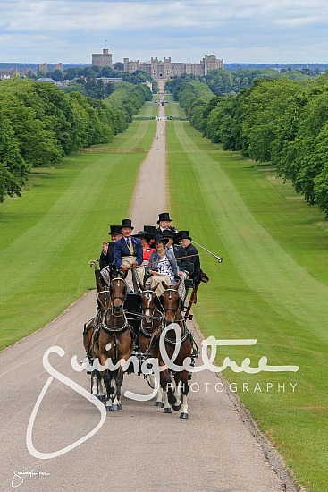 Royal Ascot 19 June 2018