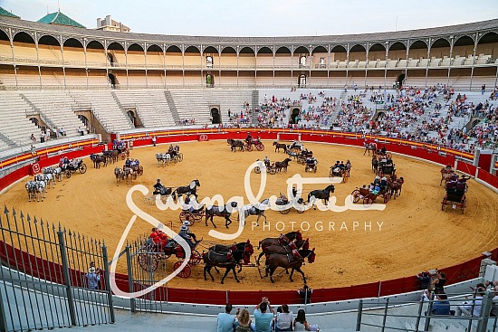 XXV Exhibicion de Enganches de Tradicion 15 Junio 2025
