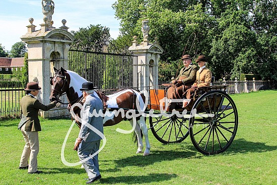 Carriages in the Park 2015