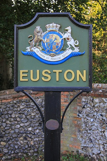 CIAT Euston Park - Carriages in the Park
