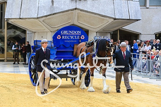 Horse Drawn Vehicles