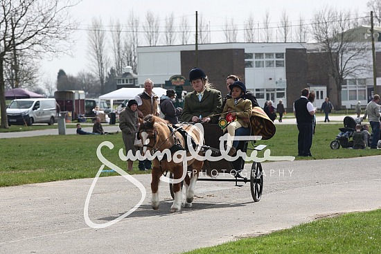 London Harness Parade 2015