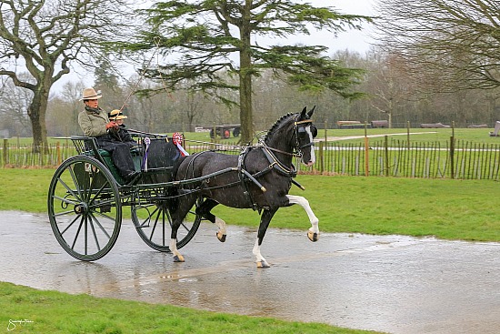 London Horse Parades