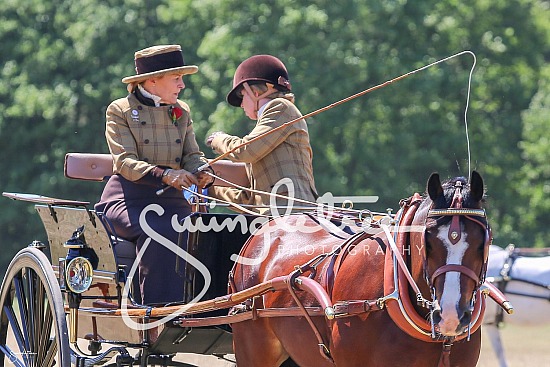 Sandringham House CAIT 2018